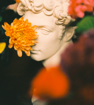 Transforming Pictures into Gateways of Discovery